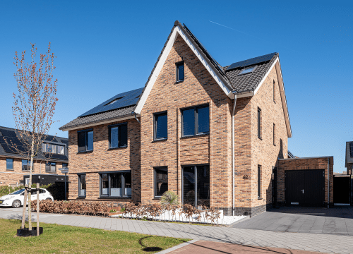 20250318-7104-lr